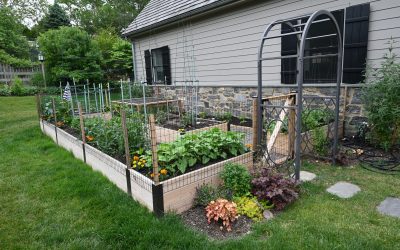 Full-Service Gardening: Organic Maintenance and End of Season Care