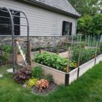 Raised bed garden with mesh fencing and central bed