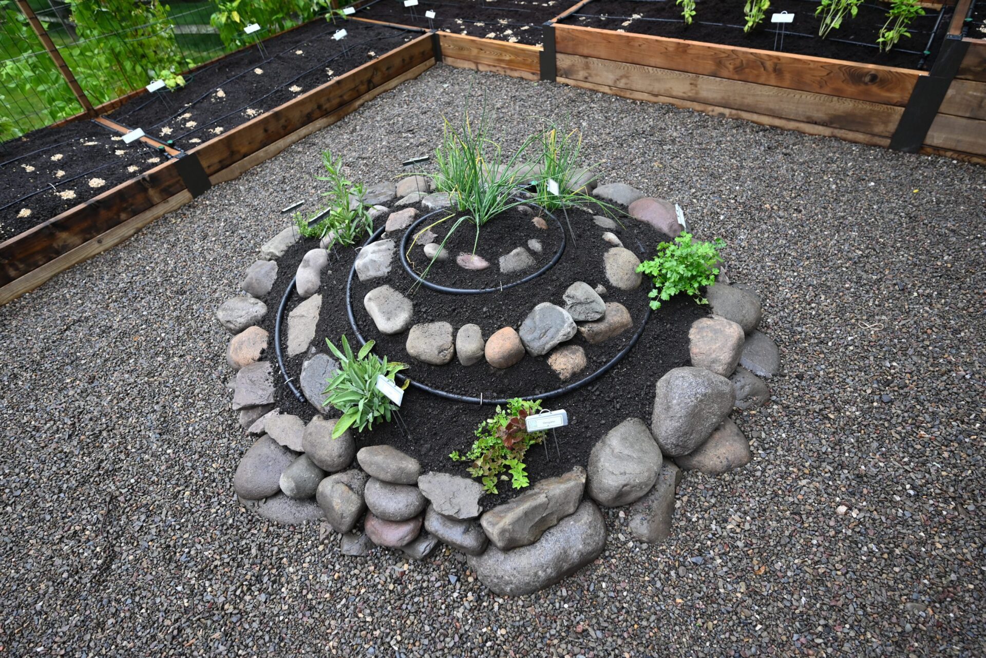An herb spiral with plants and labels