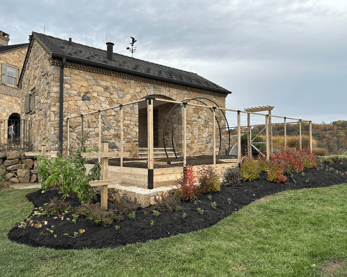 Raised bed garden with curved perennial beds, a berry trellis, and integrated fencing