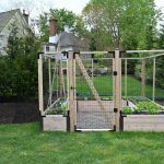 Raised bed garden for annual vegetables