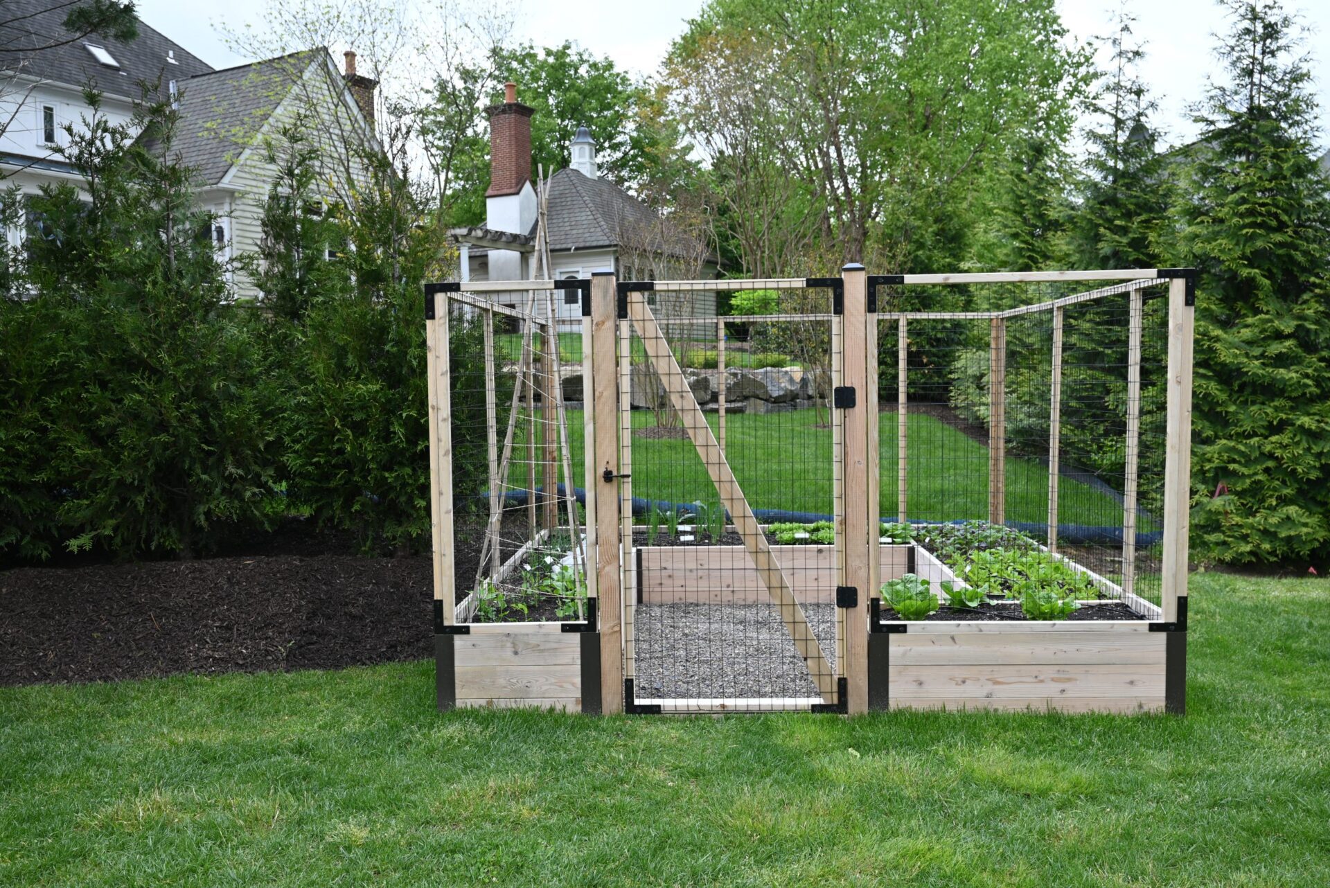 Raised bed garden for annual vegetables