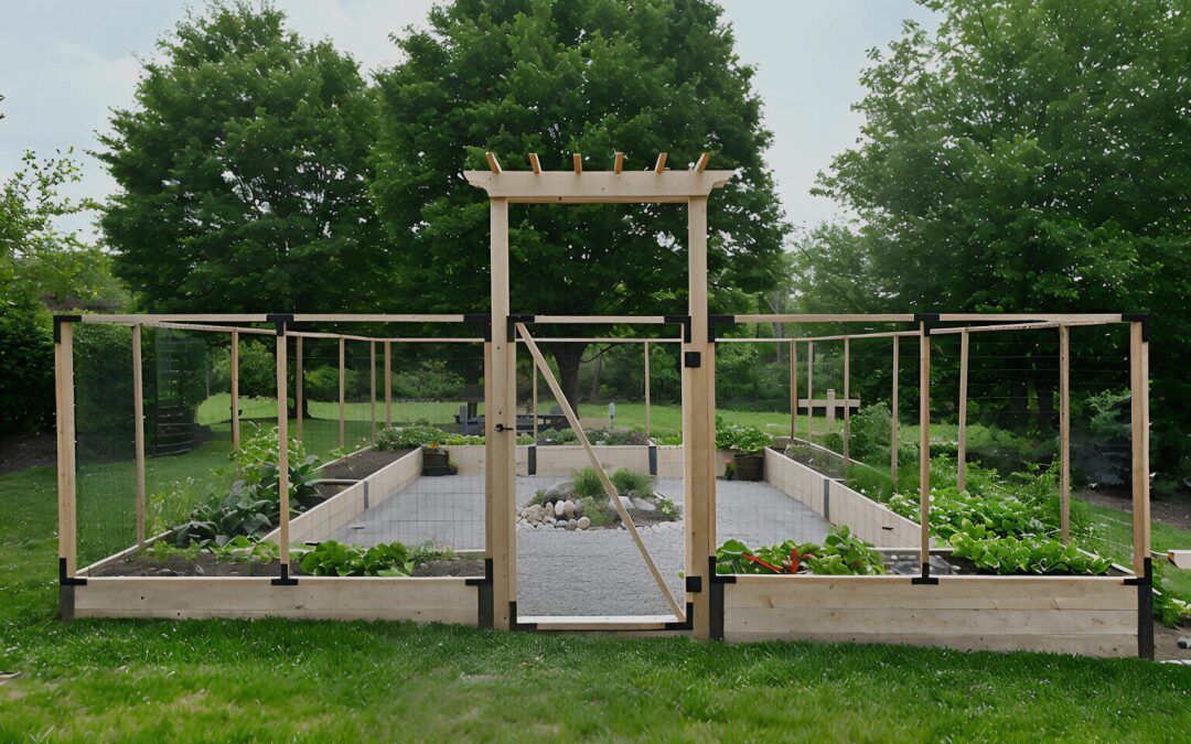 Two Reasons Raised Beds are Great for Home Gardening: Form and Function