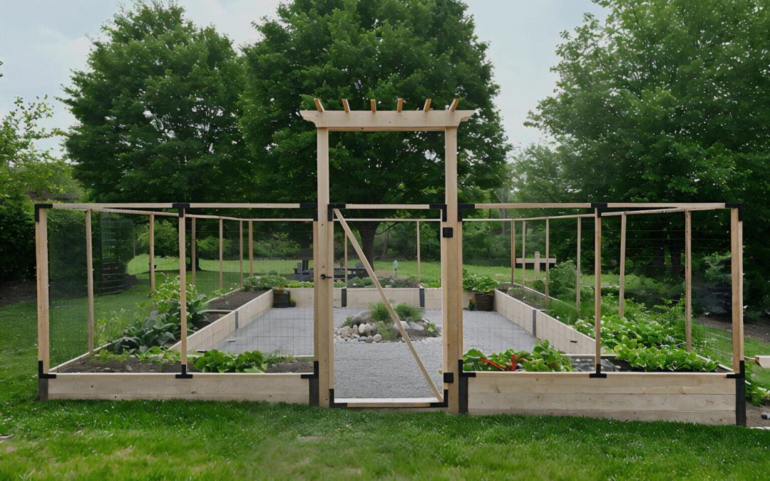 Two Reasons Raised Beds are Great for Home Gardening: Form and Function