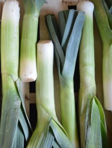 Photo of harvested and trimmed leeks from Lucy May from Unsplash