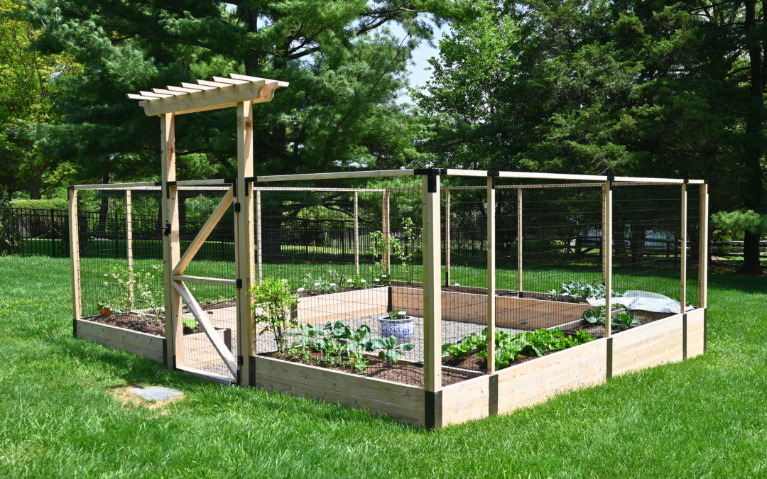 Overcoming Summer Vegetable Garden Challenges