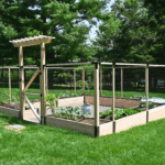 A g-shaped raised bed garden with fencing