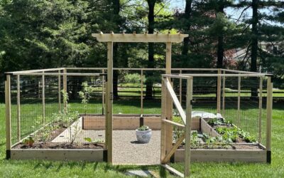 Designing Your Raised Bed Garden (Part 2: Layout and Sizing)