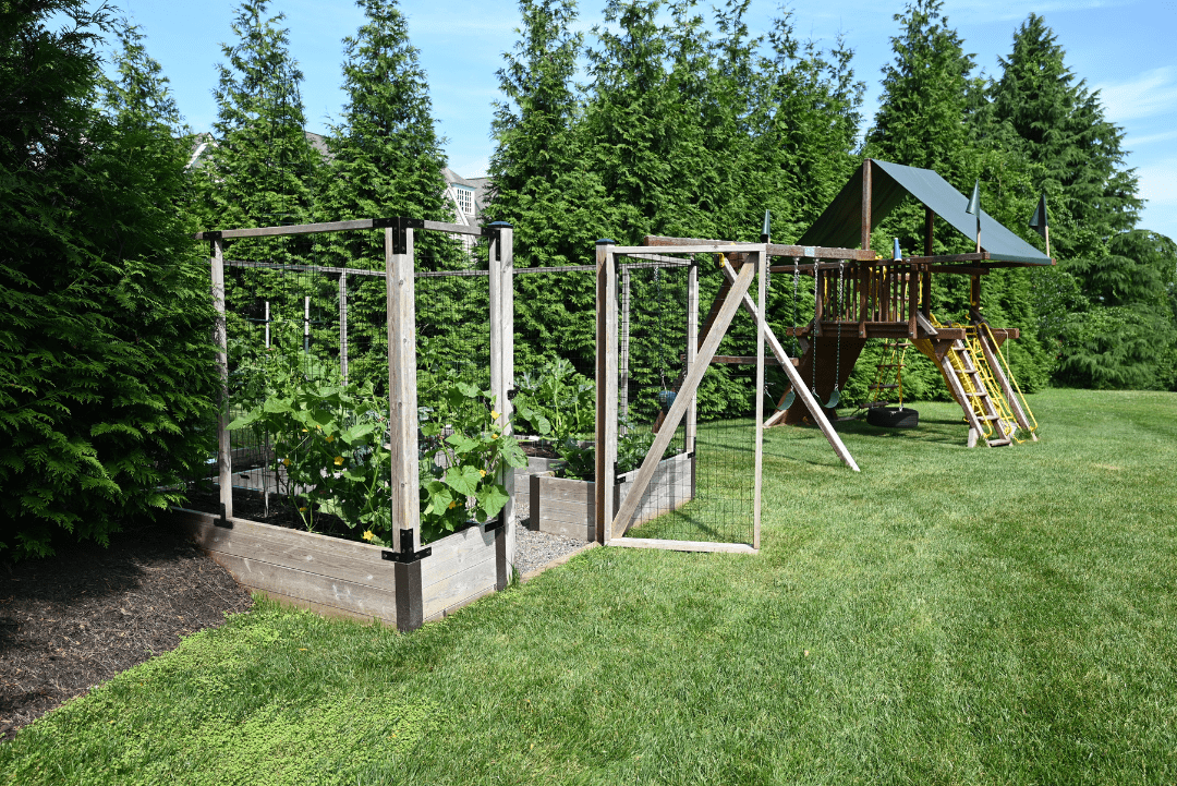 A backyard raised bed garden next to a family playset