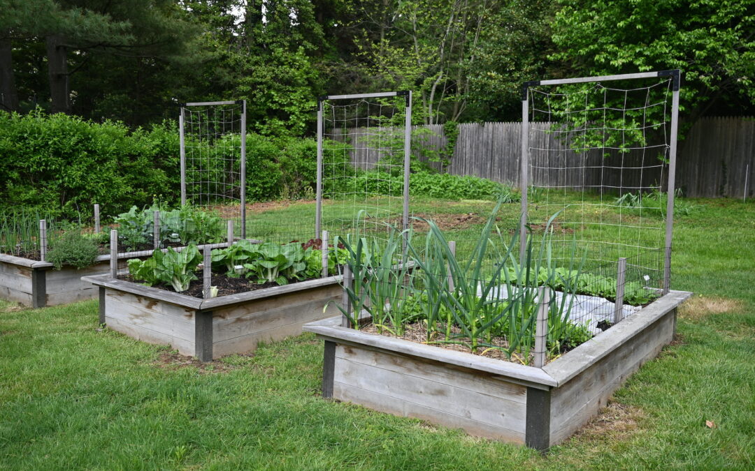 Garden Renovations: Upgrading Your Raised Beds for the Fall Season