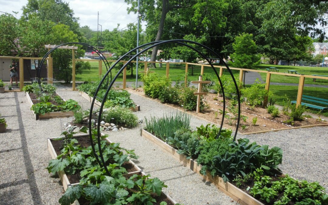 Community Gardens: Growing Education and Abundance