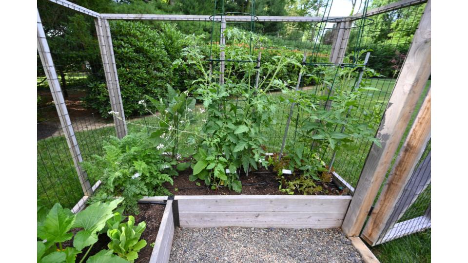 BYE Preferred Photos Slideshow (1)