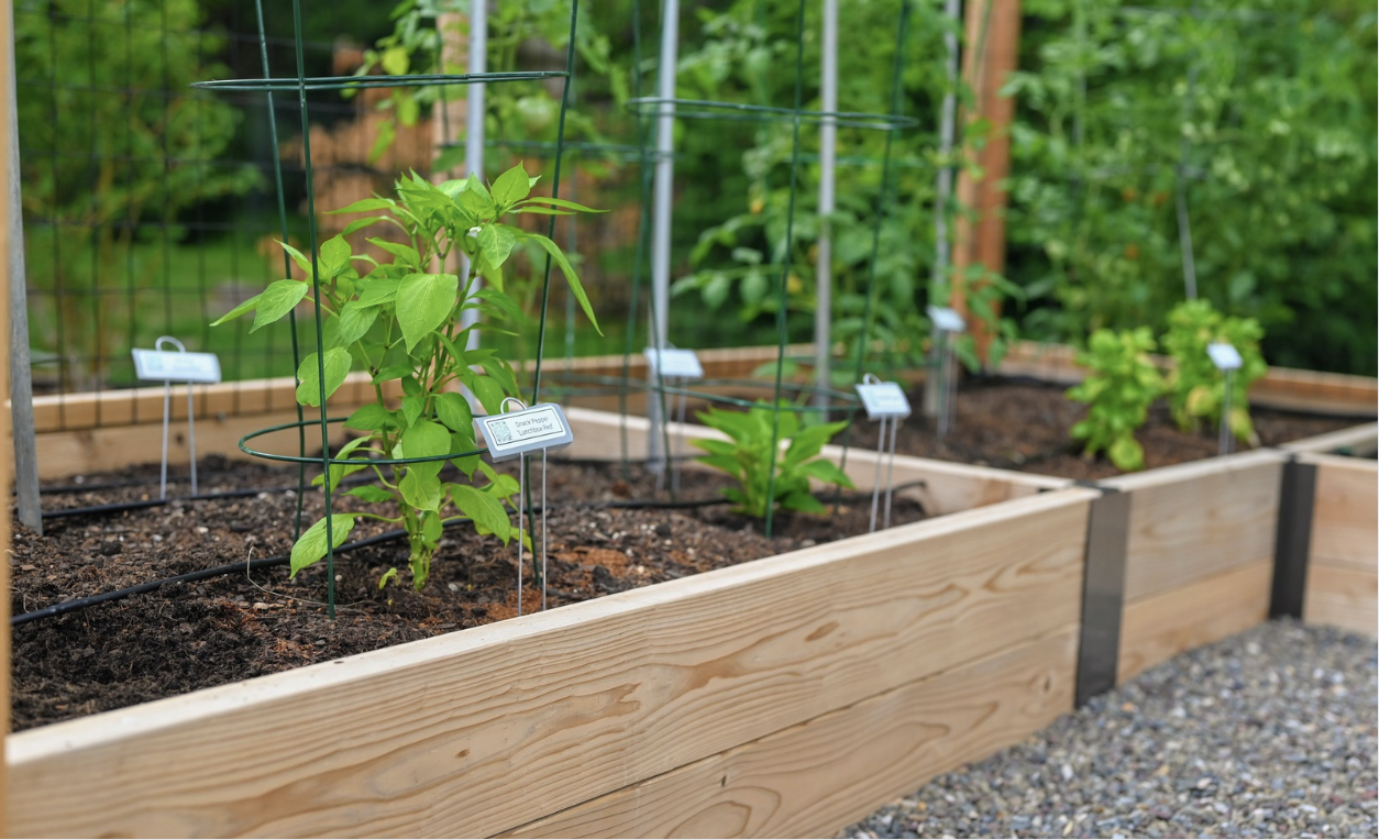 Screenshot 2025-12-01 at 10.21.08 AM