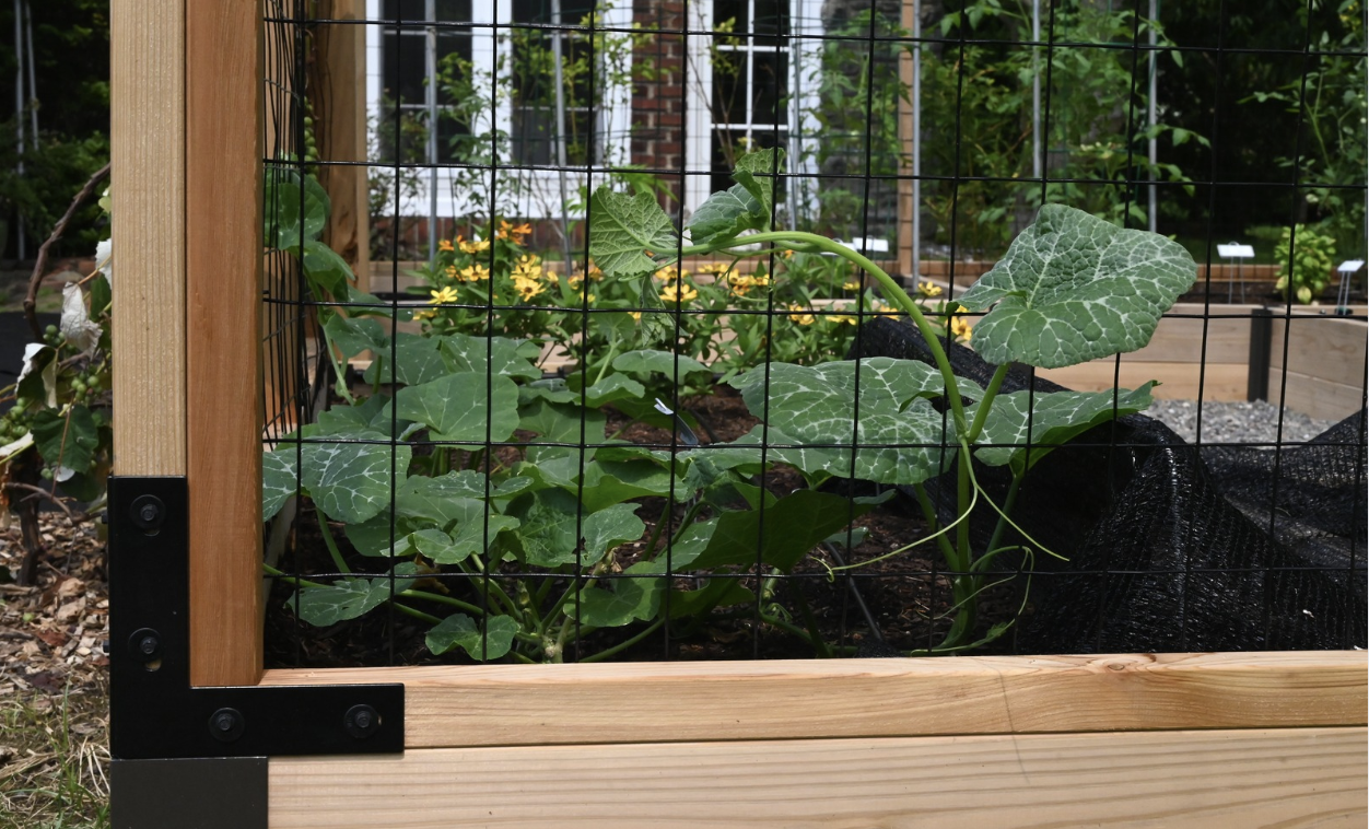 Screenshot 2025-12-01 at 10.21.16 AM