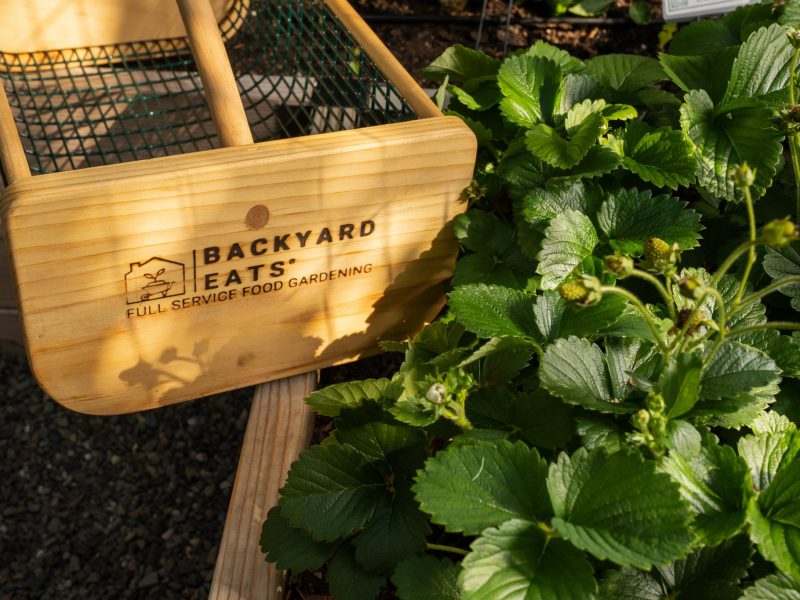 Backyard Eats