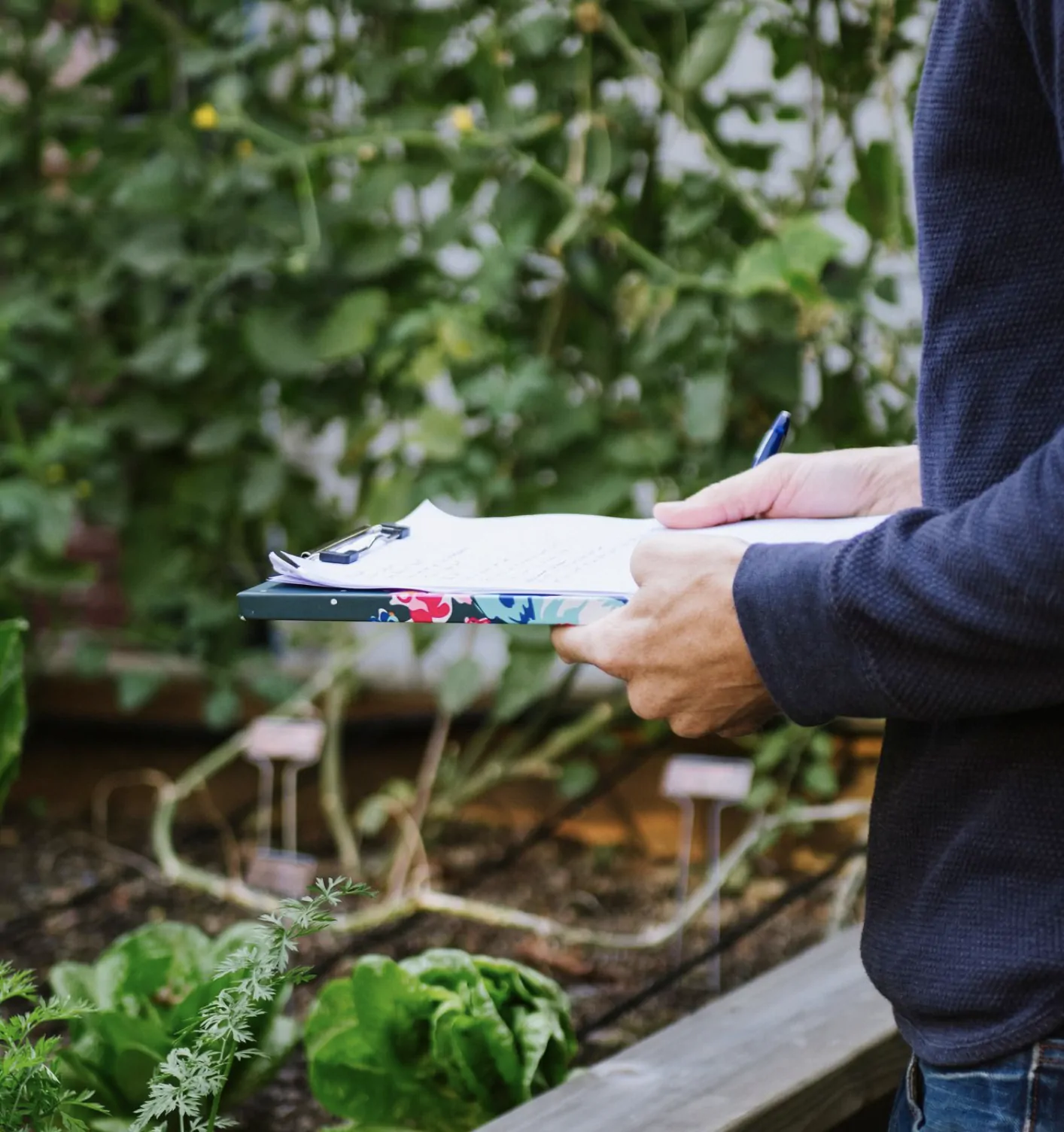 edible garden designer