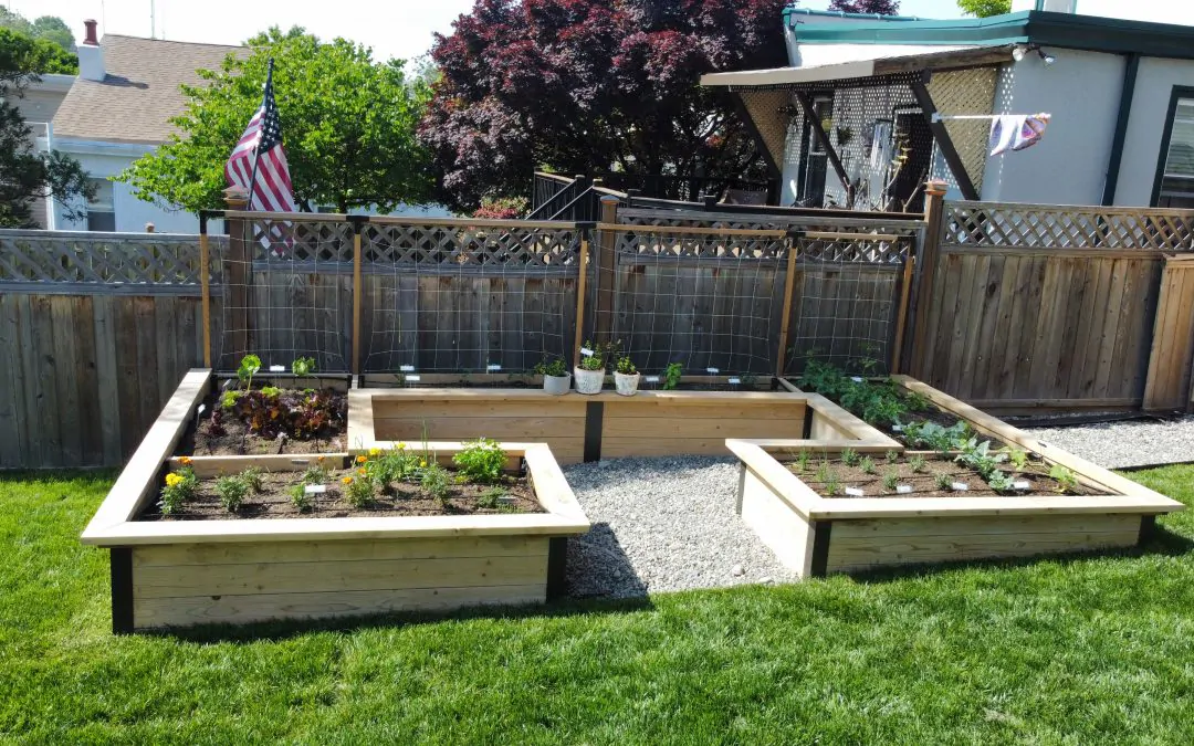 Everything You Need To Know About The Magic Of Raised Garden Beds
