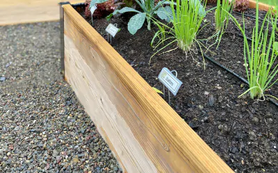 Healthiness Beings at Home: Top 5 Reasons To Use Raised Garden Beds