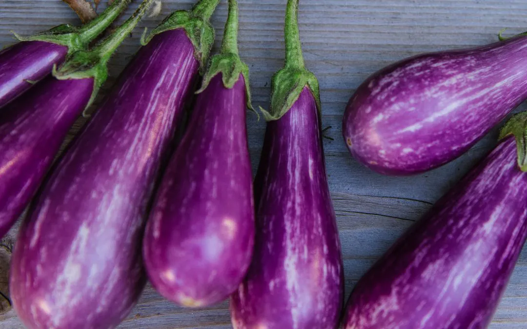 Eggplant Caprese Stacks
