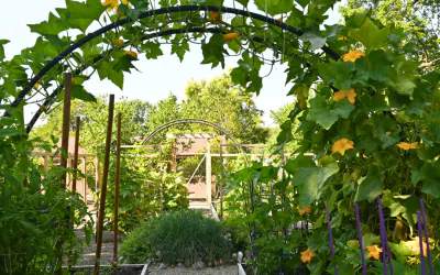 Featured Gardens: From Backyards to Community Spaces