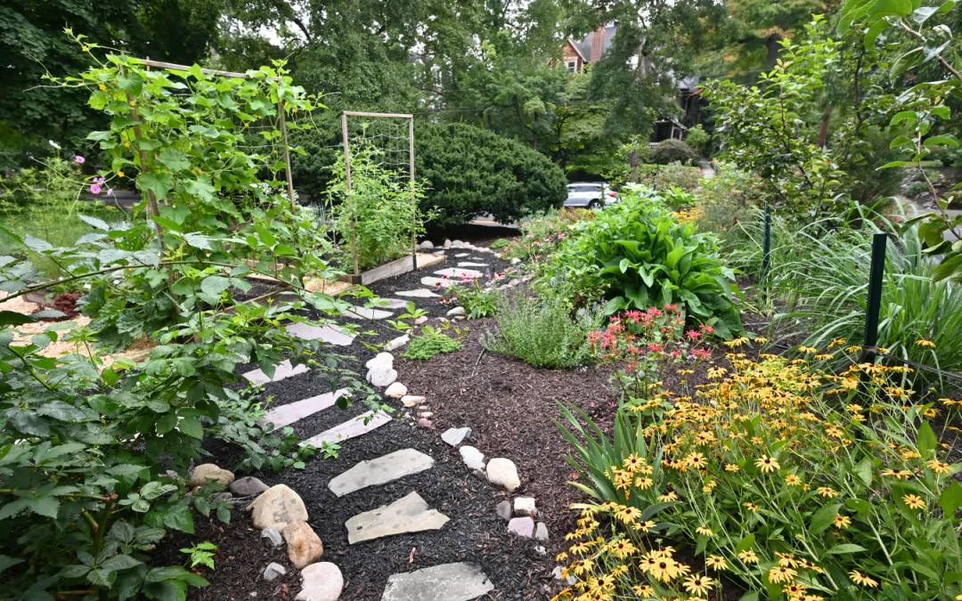 Fall Updates from Backyard Eats