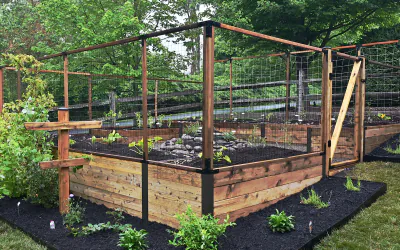Edible Gardening Classics: Raised Beds and Heirloom Tomatoes